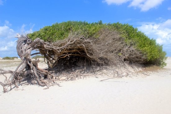 Litoral Leste em 4x4